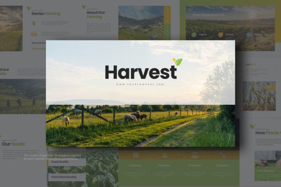 Harvest Keynote Templates: Your Secret Weapon for Powerful Presentations